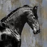 Black Stallion on Silver-Martin Rose-Framed Art Print