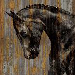 Black Stallion on Silver-Martin Rose-Art Print