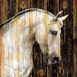 Horse II-Martin Rose-Art Print