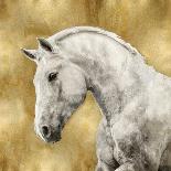 White Stallion-Martin Rose-Art Print