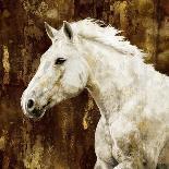 White Stallion on Gold-Martin Rose-Framed Art Print