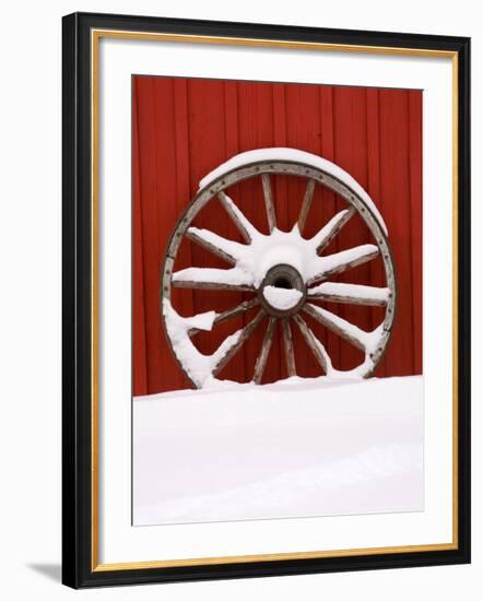 Martin Stables, Wheel Detail, Banff, Alberta-Michele Westmorland-Framed Photographic Print