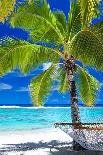 Few Coconut Palms on Deserted Beach of Tropical Island-Martin Valigursky-Photographic Print