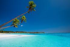 Few Coconut Palms on Deserted Beach of Tropical Island-Martin Valigursky-Photographic Print