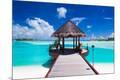 Photographic Print