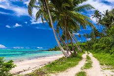 Empty Hammock between Palm Trees on Tropical Beach-Martin Valigursky-Photographic Print