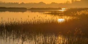 Dawn on the River Alde-Martin Wilcox-Photographic Print