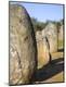 Premium Photographic Print