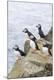 Premium Photographic Print