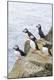 Premium Photographic Print
