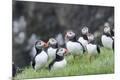 Premium Photographic Print