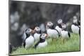 Premium Photographic Print