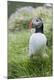 Premium Photographic Print