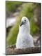 Premium Photographic Print