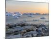 Photographic Print