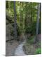 Premium Photographic Print