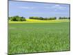 Premium Photographic Print