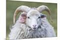 Premium Photographic Print