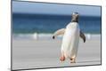 Premium Photographic Print