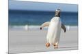 Premium Photographic Print