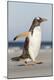 Premium Photographic Print