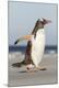 Premium Photographic Print