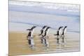Premium Photographic Print