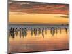 Premium Photographic Print