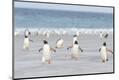 Premium Photographic Print