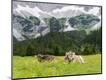 Photographic Print
