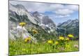 Photographic Print