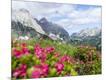 Photographic Print