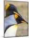 Premium Photographic Print
