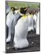 Premium Photographic Print
