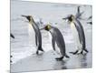 Photographic Print