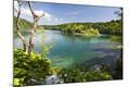 Premium Photographic Print