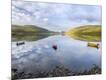 Photographic Print