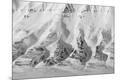 Photographic Print