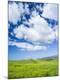 Premium Photographic Print