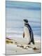 Photographic Print