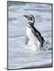 Premium Photographic Print