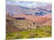 Photographic Print