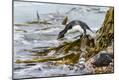 Premium Photographic Print