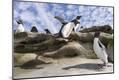Premium Photographic Print