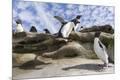Premium Photographic Print