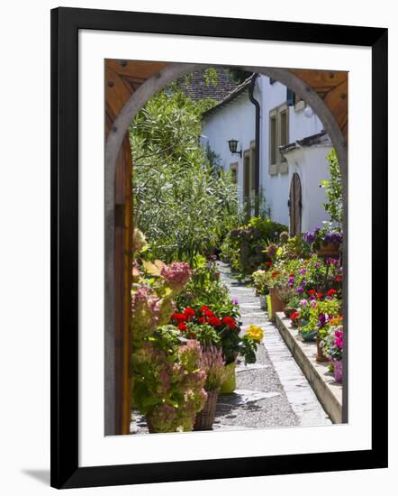 Photographic Print, , large