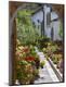 Premium Photographic Print
