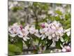 Premium Photographic Print