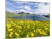 Photographic Print