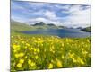 Photographic Print